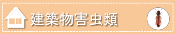 建築物害虫