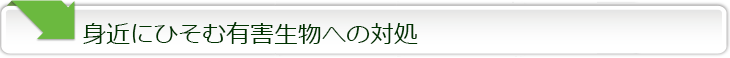 シロアリ駆除・害虫駆除などお問い合わせください