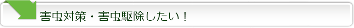 シロアリ駆除・害虫駆除などお問い合わせください